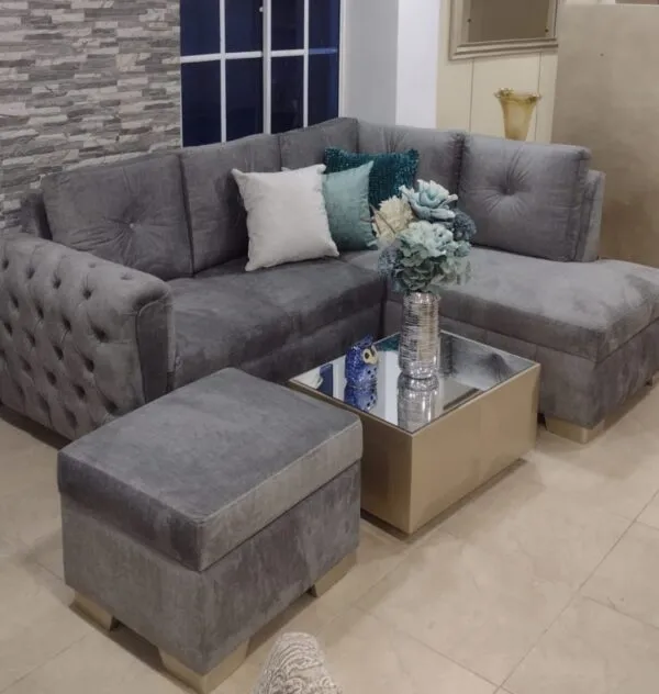 MDS, SALA BRAILIN